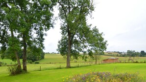 Een landelijk landschap met een grasveld, bomen en een houten gebouw in de verte.