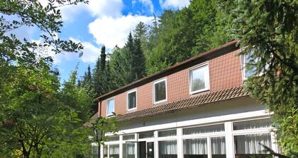 Spacious Holiday Home in Löwensen Lower Saxony near Forest