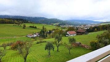 Ferienhaus | Blick von der Unterkunft