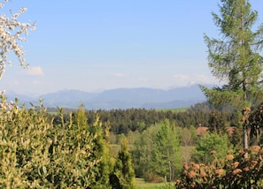 House | View from property