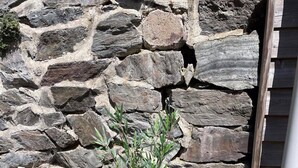 A stone wall with a potted plant and flowers.
