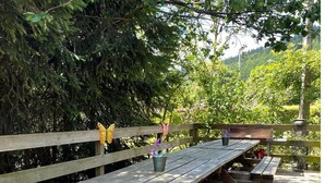 A wooden deck with picnic tables and a butterfly on a branch.
