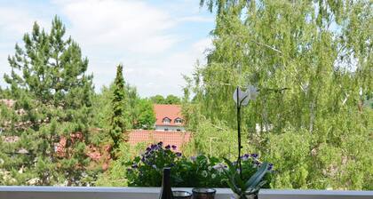 Modern Holiday Home With Bad Suderode View