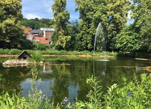 House | View from property - Modern Holiday Home in Hessen (Grossalmerode)