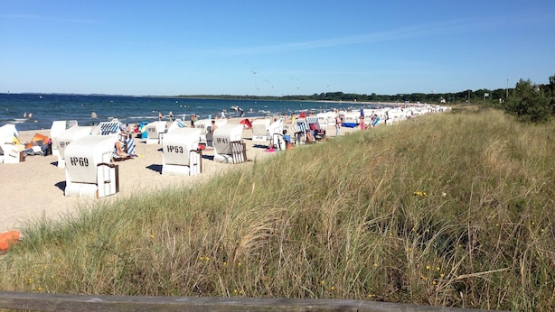 Een strand met rijen strandstoelen en parasols, een heldere lucht en de zee op de achtergrond.