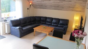 House | Living room | DVD player - Holiday Home With Large Garden, Private Swimming Pool, Beautiful View and Directly by the Piste (Dolni Dvur)