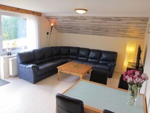 House | Living room | DVD player - Holiday Home With Large Garden, Private Swimming Pool, Beautiful View and Directly by the Piste (Dolni Dvur)
