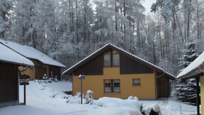 Un chalet à deux étages, à la façade jaune, entouré d’arbres couverts de neige.