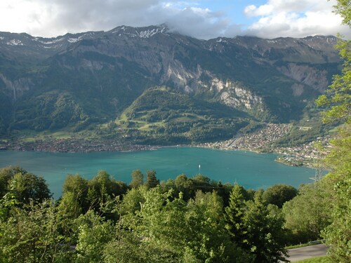 Beautiful Holiday Home in Brienz With Lake View