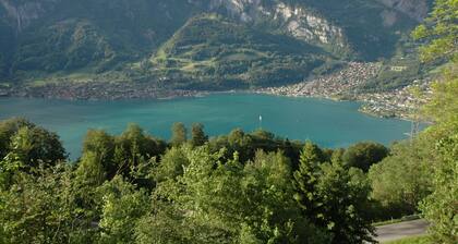 Beautiful Holiday Home in Brienz With Lake View