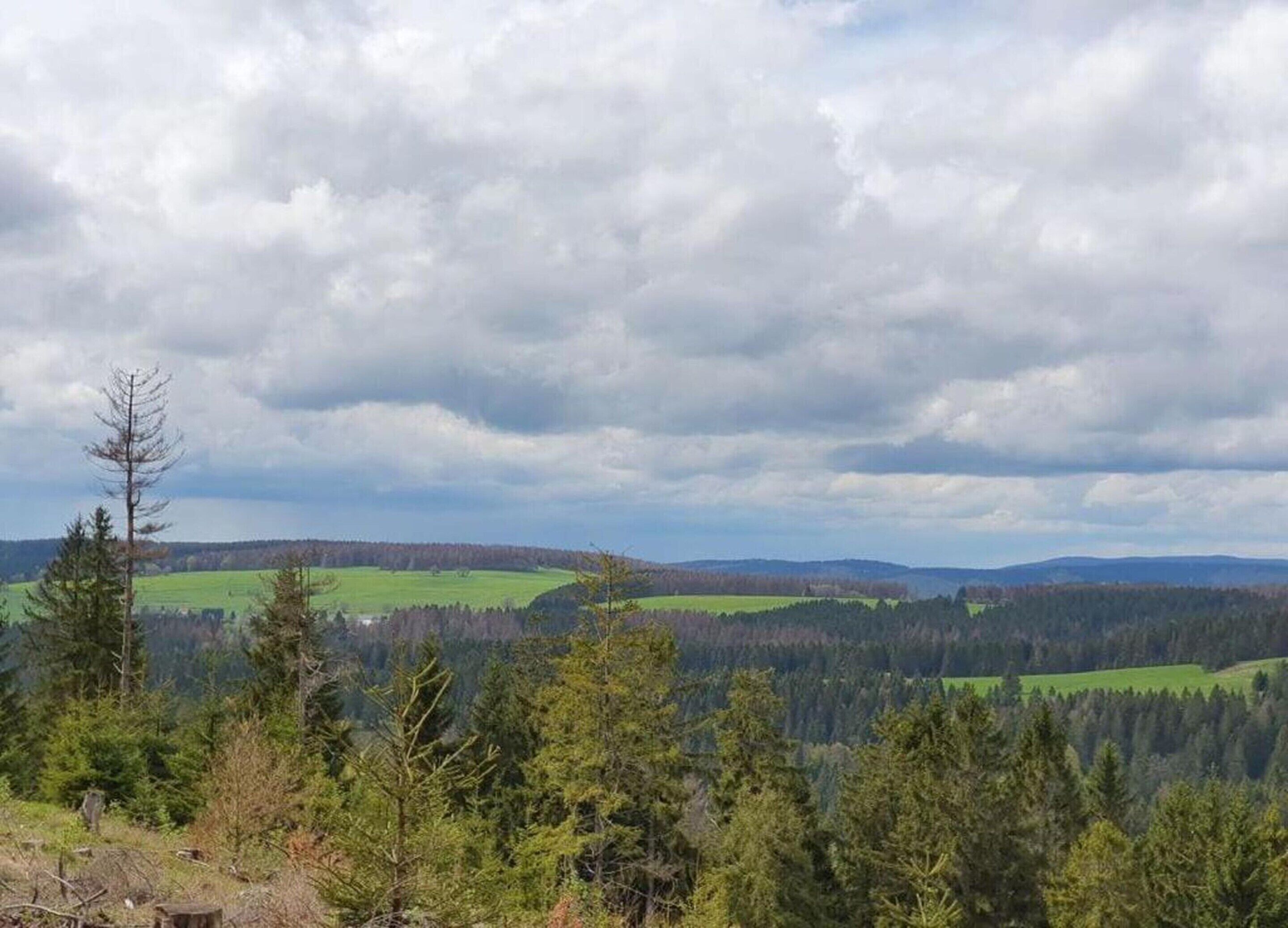 Een bebost landschap met zicht op verre heuvels en een bewolkte lucht.