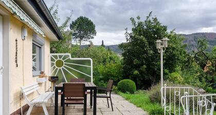 Holiday Home in Bad Harzburg With Terrace