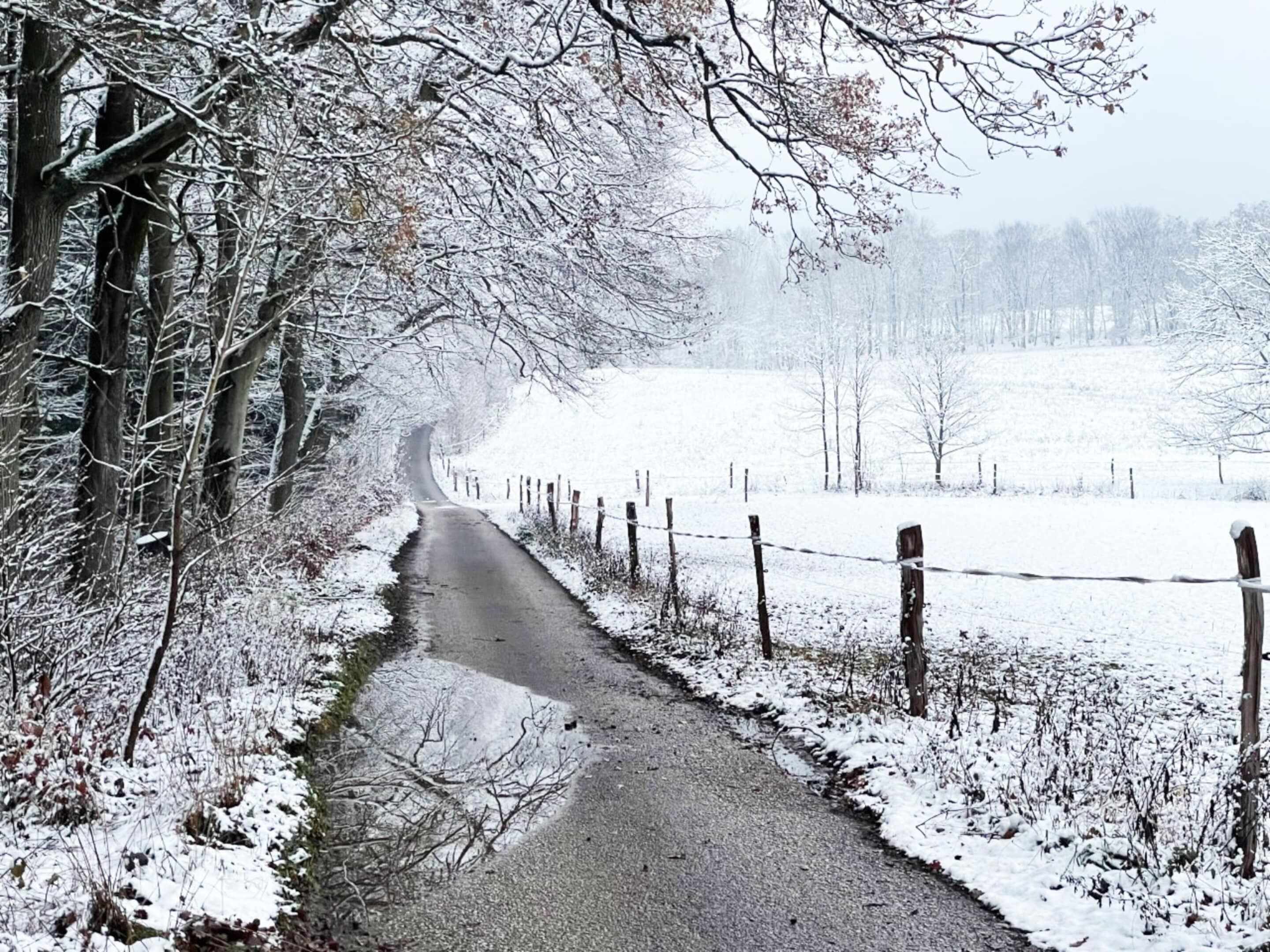 Een besneeuwde landweg omzoomd door kale bomen en een hek.