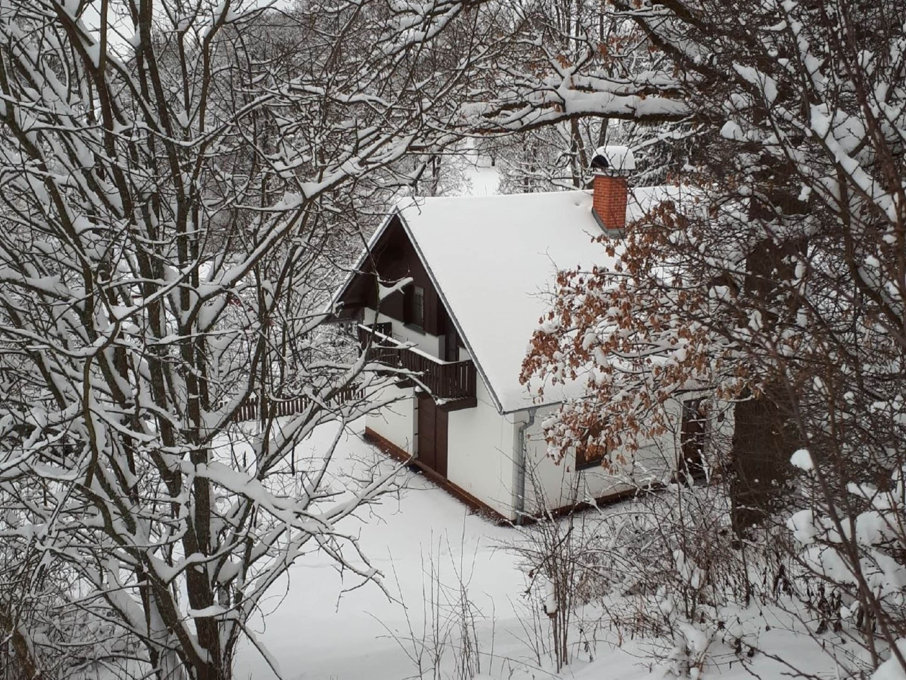 A small, snow-covered cabin with a sloped roof, surrounded by trees and underbrush.