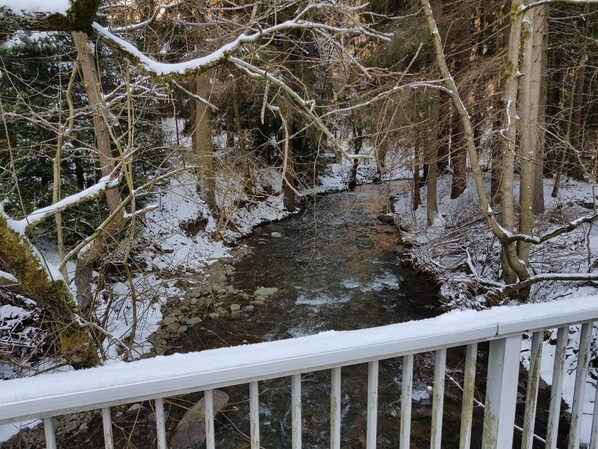 View from property - Ferienwohnung im Oberharz in Wildemann (Clausthal-Zellerfeld)