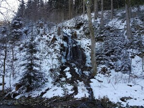 Vista desde la propiedad