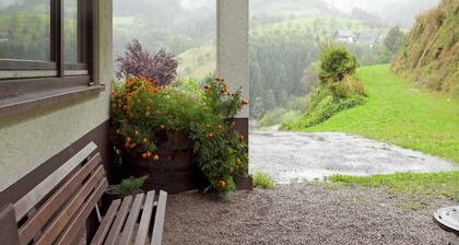 Apartment in Bad Peterstal Near Vineyards