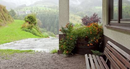 Ferienwohnung, Bad Peterstal