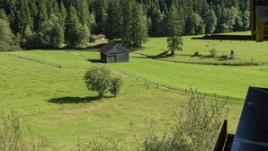 Ländliche Landschaft mit Scheune, offenen Feldern und einem bewaldeten Gebirgszug.