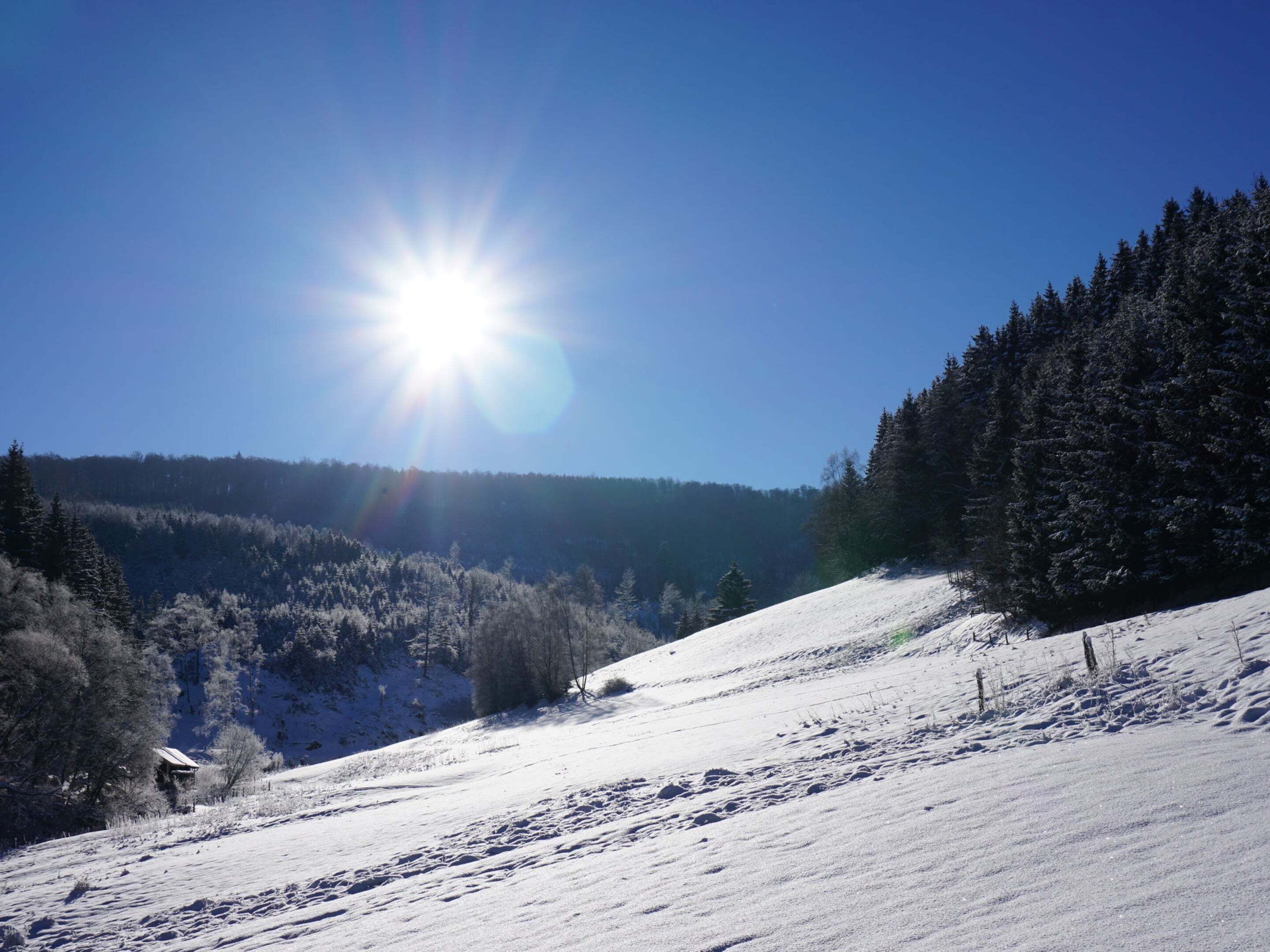 A snow-covered landscape with a clear sky and a bright sun.