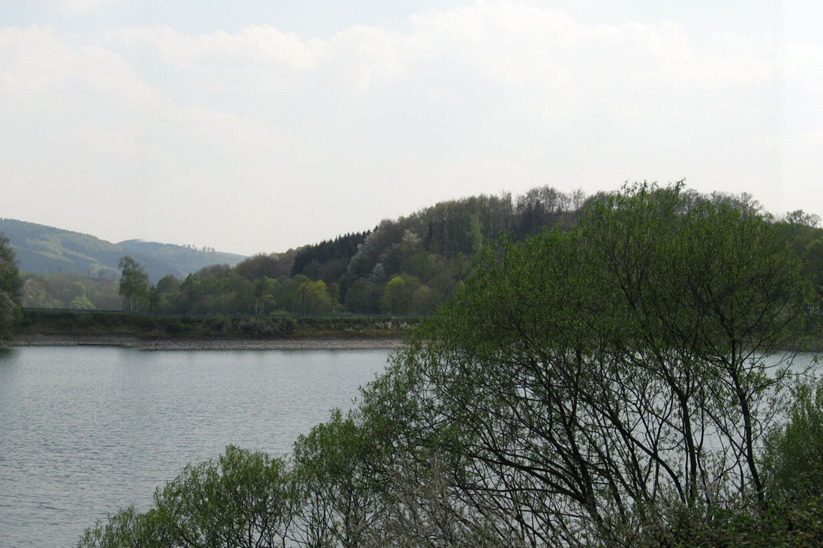 Un lago rodeado de árboles y colinas al fondo.
