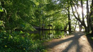 A tranquil pathway leading to a gazebo by a calm lake, surrounded by lush greenery. - Familienfreundliches Ferienhaus (Oldenburg in Holstein)