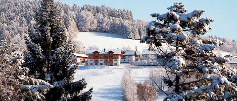 Apartment | Exterior