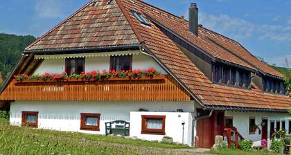Luscious Apartment in Rickenbach With Wifi