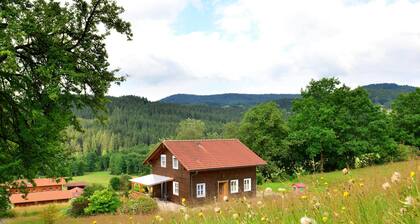 Ruhiges Ferienhaus in Drachselsried in Waldnahe