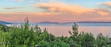 A coastal landscape with dense greenery in the foreground and a calm sea under a sunset sky.
