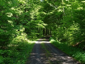 Eksteriør