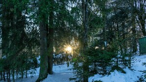 A snow-covered forest path leading to a cabin. - Quaint Holiday Home near Ski Area in Neuastenberg (Winterberg)