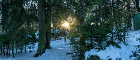 House | View from property