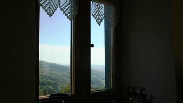 House | View from property