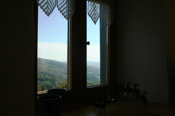 House | View from property - Ehemaliges Bauernhaus mit Liegewiese (Zenting)