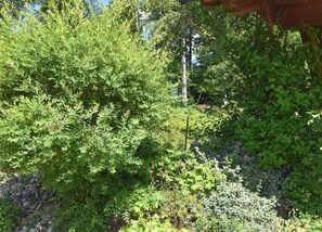 House | View from property