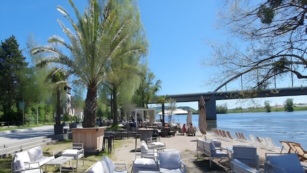 An outdoor seating area with white lounge chairs and tables, a palm tree, and a river view. - Apartment in Bavaria With Scenic Garden Views (Deggendorf)