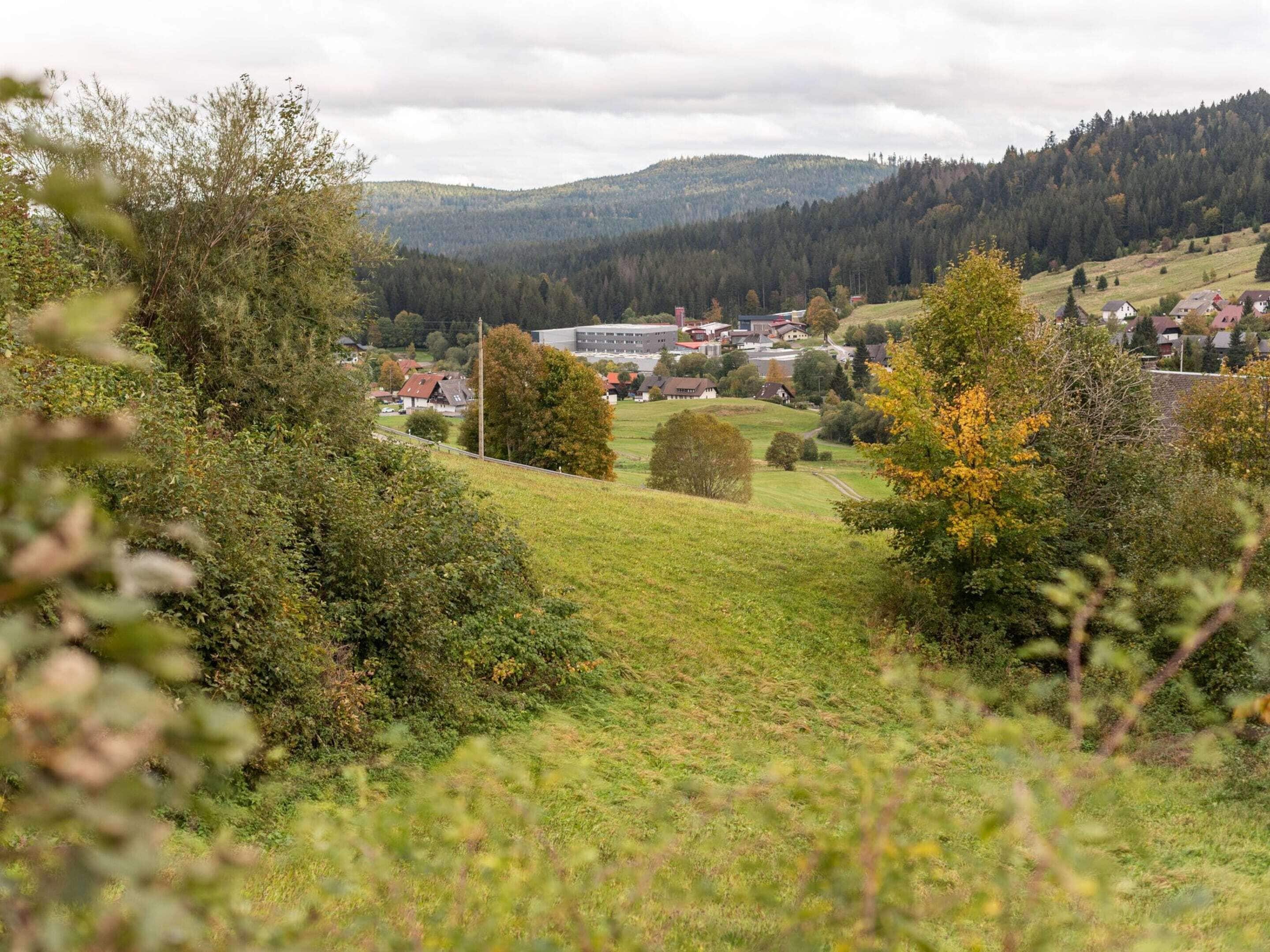 A rural landscape with a small village, houses, and a forested hill in the background.