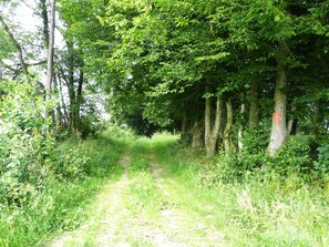 Exterior - Renovated, Spacious Holiday Home in the French Ardennes Near to Belgium (La Neuville-aux-Joûtes)