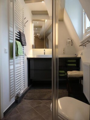 Shower, hair dryer, towels