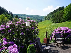 Ferienhaus | Außenbereich