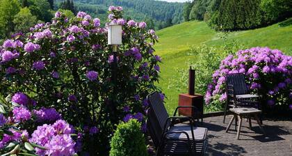 Charming Holiday Home With Terrace
