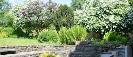 A garden with stone steps, flowering trees, and various shrubs.