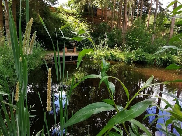 Exterior - Chalet in Wibrin Near Achouffe Brewery (Houffalize)