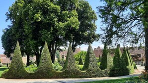 A well-manicured garden with neatly trimmed hedges and a large tree. - Beautiful Authentic Holiday Home With Pool (Chantenay-Saint-Imbert)