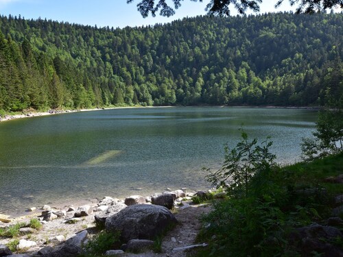 Quaint Chalet in La Bresse With Sauna