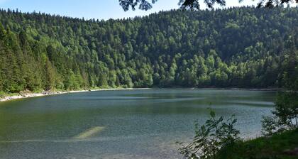 Quaint Chalet in La Bresse With Sauna