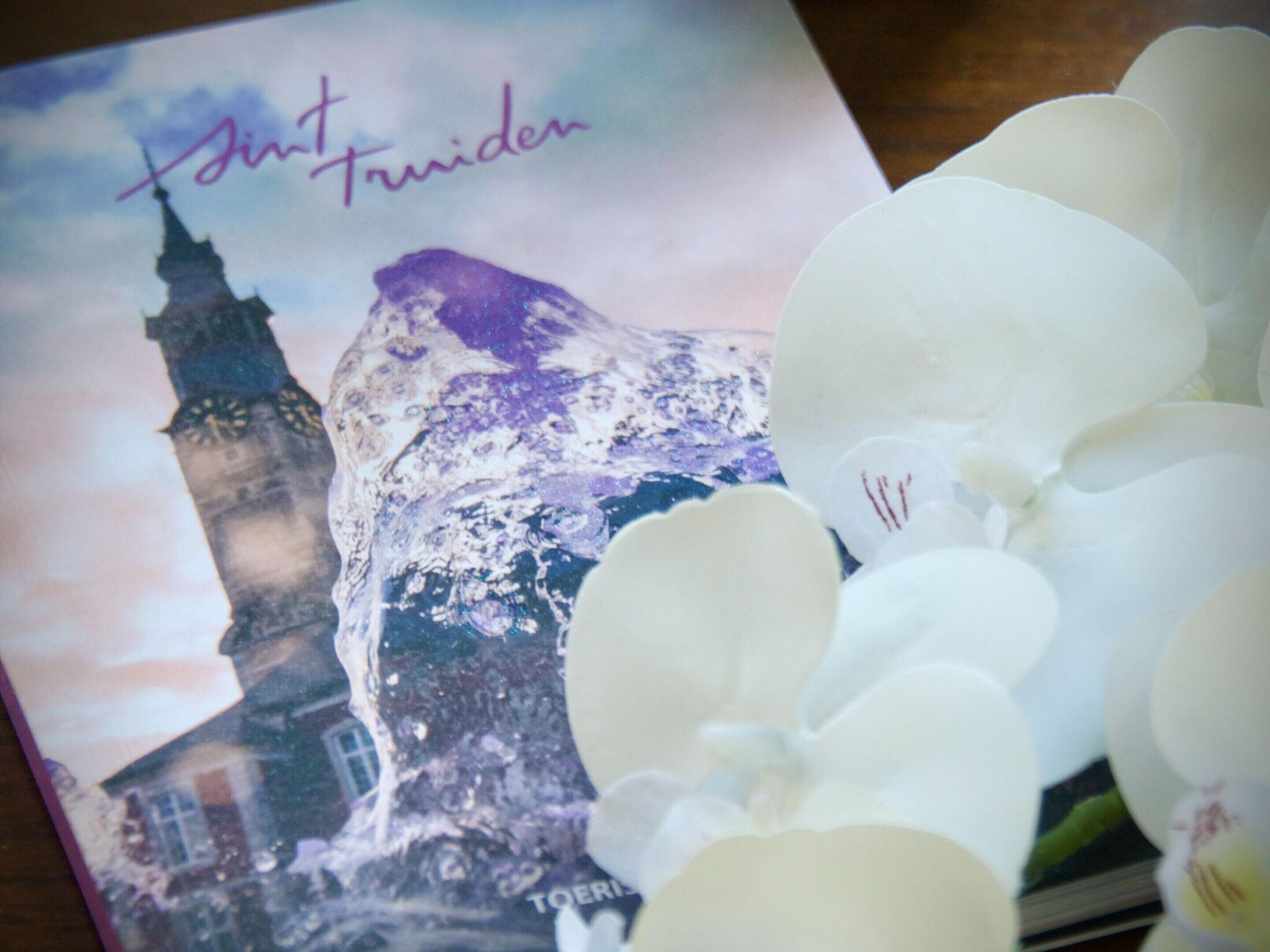 Ein Buch mit einem Stadtbild-Cover, das einen markanten Turm und ein Gebirge zeigt.