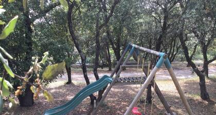 Sunny Provence Getaway