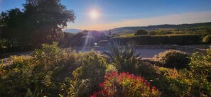 Garden - Sunny Provence Getaway (Villes-sur-Auzon)